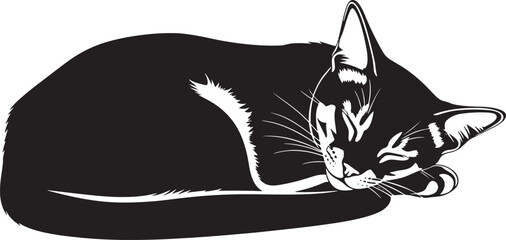 Sleek feline silhouette resting peacefully a captivating image of a contented cat in a serene pose