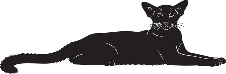 Elegant black cat silhouette reclining gracefully capturing a feline pose of serene majesty and animal artistry