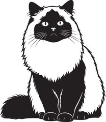 Elegant cat silhouette graphic furry friend animal design isolated pet domestic feline companion mammal cute kitty kitten art style print element