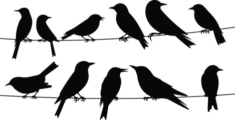 Silhouette illustration of birds sitting on wire in black and white, minimal nature vector design for decoration and background.