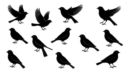 Obraz premium Collection of stylized black bird silhouettes, with various poses, wings open or closed