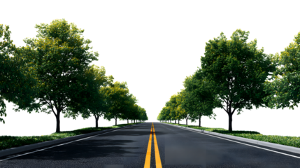 Serene tree-lined asphalt road with vibrant green foliage guiding towards an endless horizon