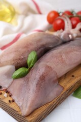 Fresh raw squids, tomatoes and spices on white table, closeup