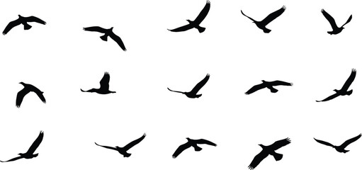 Flying bird silhouettes, bird motion vector, wing posture icons, black flight shapes, nature movement art, cad drawing flat vector illustration