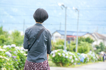 あじさいに包まれて歩く女性の夏の思い出