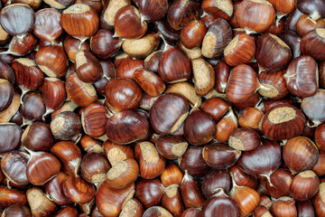 View of shiny brown chestnuts piled together. Autumn harvest and seasonal food concept in natural daylight.
