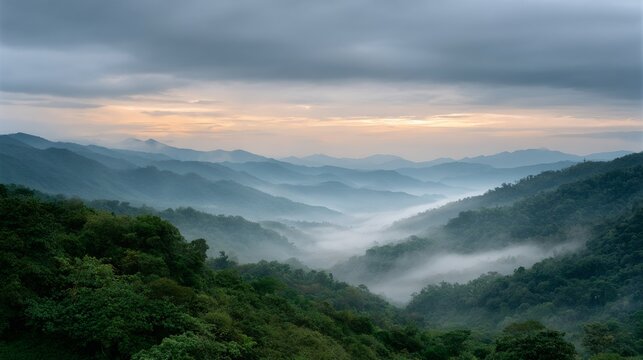 The mountains are covered in trees and the sky is cloudy
