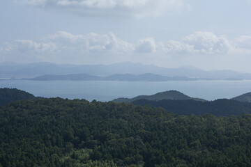 It's a forest with a distant view of the sea.