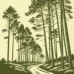 Illustration of a pine forest with a winding road