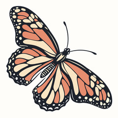 Monarch butterfly illustration with detailed wing pattern