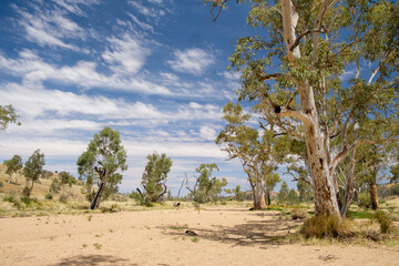 Dry reiverbed, Simpson's Gap. Northern Territory, Australia