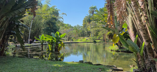 The fauna of the Rio Botanical Garden enchants with birds, monkeys, insects, and reptiles, living in harmony with the rich vegetation of the preserved Atlantic Forest. © LGAndrade