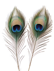 Obraz premium Two beautiful peacock feathers with eye patterns isolated on transparent background