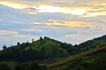 Fototapeta premium Evening sunlight on the mountain top