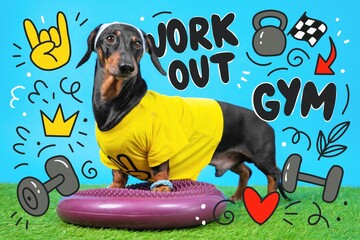 A playful dachshund wearing a yellow shirt and headband poses on a fitness mat, surrounded by gym-themed doodles like weights and kettlebells on a bright background.