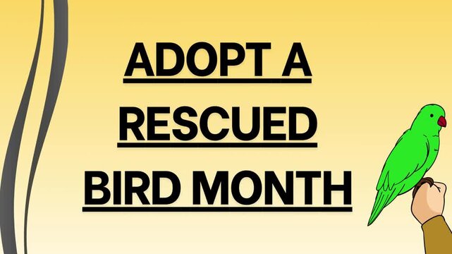 Adopt a Rescued Bird Month Awareness Animation &ndash; Hand Holding Parrot, Animal Rescue and Adoption Campaign Background