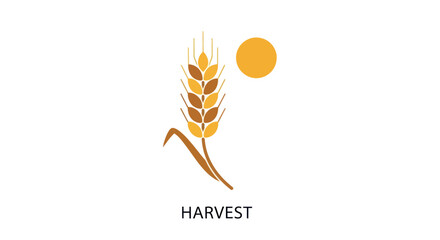 Golden wheat stalk and sun icon for harvest season logo. © mbak