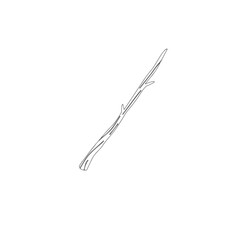 Minimalist tree branch drawing for creative design projects adding a natural touch and organic feel to invitations or logos