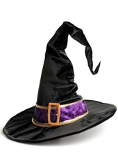 Witch hat halloween costume purple.