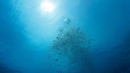 Oxygen in rays of light breaking through the surface in the blue ocean. Underwater photo.