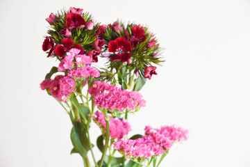 撫子とスターチス