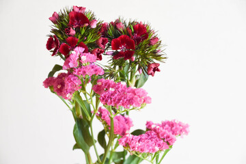 撫子とスターチス