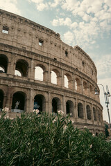 Fototapeta premium el coliseo monumental de europa