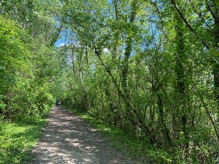 Walking and running trails around the Jarun Lake (Croatia) - Rekreacijsko sportski centar Jarun ili staze za šetnju i trčanje oko športsko-rekreacijskog centra Jarunsko jezero (Zagreb, Hrvatska)