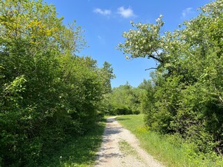 Walking and running trails around the Jarun Lake (Croatia) - Rekreacijsko sportski centar Jarun ili staze za šetnju i trčanje oko športsko-rekreacijskog centra Jarunsko jezero (Zagreb, Hrvatska)