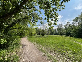 Fototapeta premium Walking and running trails around the Jarun Lake (Croatia) - Rekreacijsko sportski centar Jarun ili staze za šetnju i trčanje oko športsko-rekreacijskog centra Jarunsko jezero (Zagreb, Hrvatska)