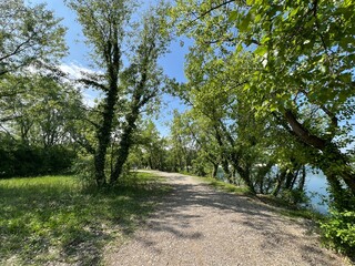Fototapeta premium Walking and running trails around the Jarun Lake (Croatia) - Rekreacijsko sportski centar Jarun ili staze za šetnju i trčanje oko športsko-rekreacijskog centra Jarunsko jezero (Zagreb, Hrvatska)