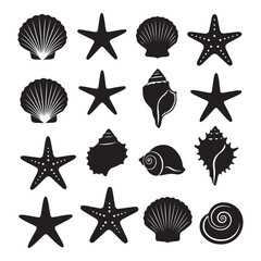 Set of different black sea shells and starfish