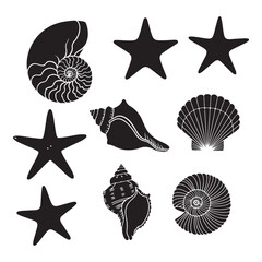 Set of different black sea shells and starfish