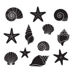 Set of different black sea shells and starfish