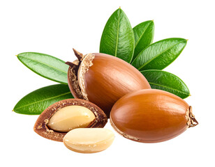 Argan nuts isolated on transparent png