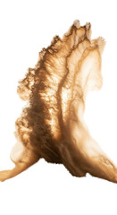 Golden Dust Cloud Explosion Flowing Swirling Abstract 3D Render