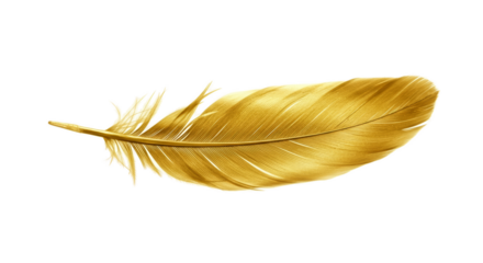 Golden Feather With Soft Light On A Warm Yellow Background
