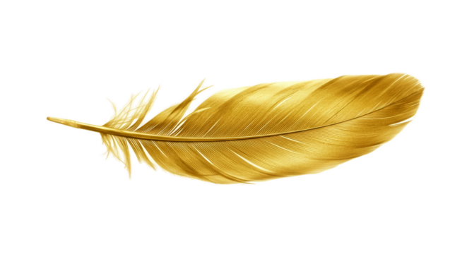 Golden Feather With Soft Light On A Warm Yellow Background