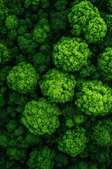 Naklejka premium A vibrant aerial view of lush green foliage, showcasing dense clusters of healthy plants, creating a visually striking natural pattern.
