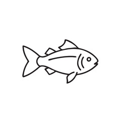 Fish anatomy line drawing vector illustration