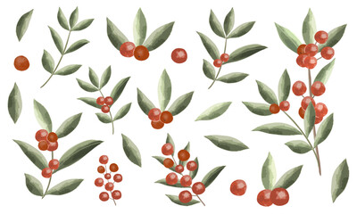 南天の葉と実の水彩ベクターパーツセット （和食で料理に飾る植物）