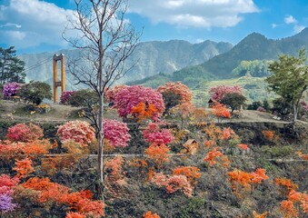 Autumn in the park.Huangling Village is an ancient village built during the middle period of the Ming Dynasty, located in Jiangwan Township, Wuyuan County, Shangrao City, Jiangxi Province.Chian.