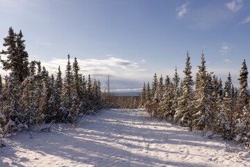 winter landscape with snow covered trees