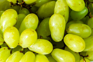 fresh green grapes