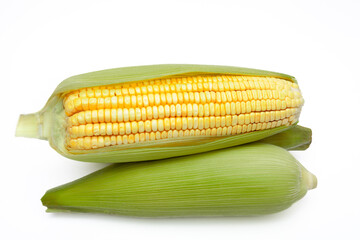 Three horizontal corn cobs on white background with one cut open