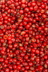 Macro close-up of pink peppercorns