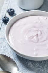 Healthy Homemade Blueberry Yogurt