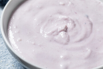Healthy Homemade Blueberry Yogurt