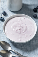 Healthy Homemade Blueberry Yogurt