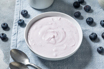 Healthy Homemade Blueberry Yogurt